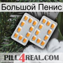 Большой Пенис cialis4